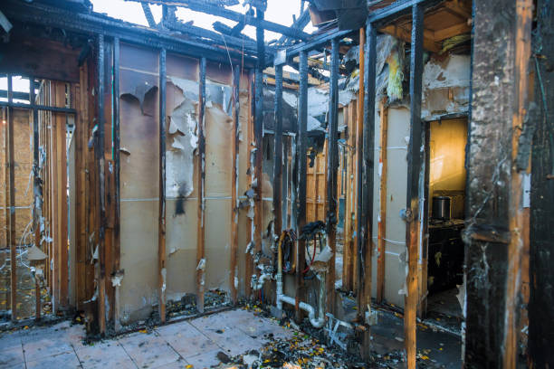 Professional Smoke Damage Removal technician working in Melville, NY